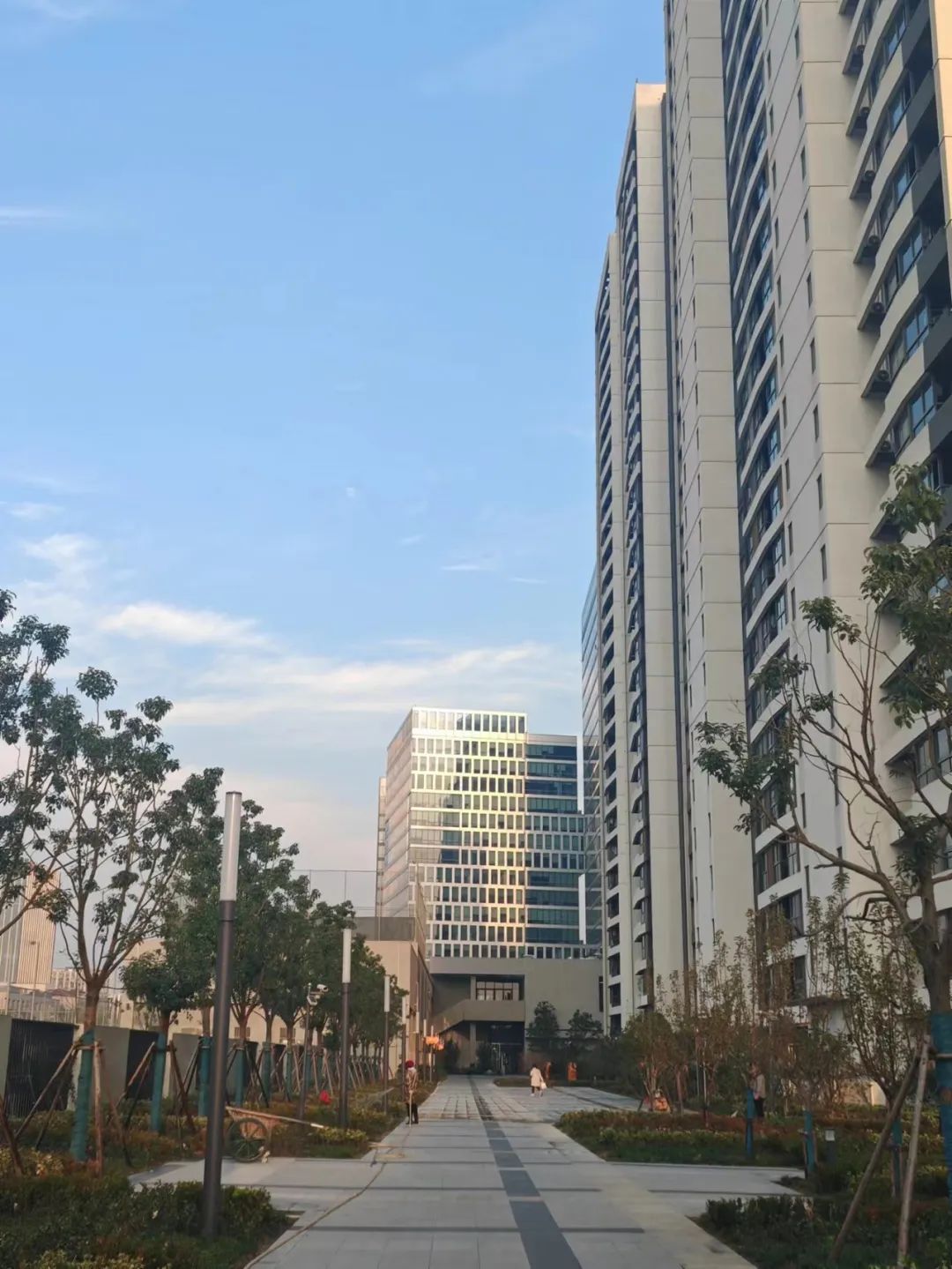 微信图片_20231228153236.jpg