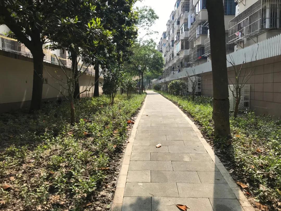 微信图片_20210610142410.jpg